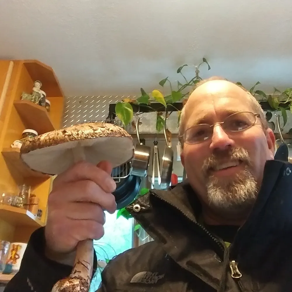 tidytim.bsky.social's profile picture