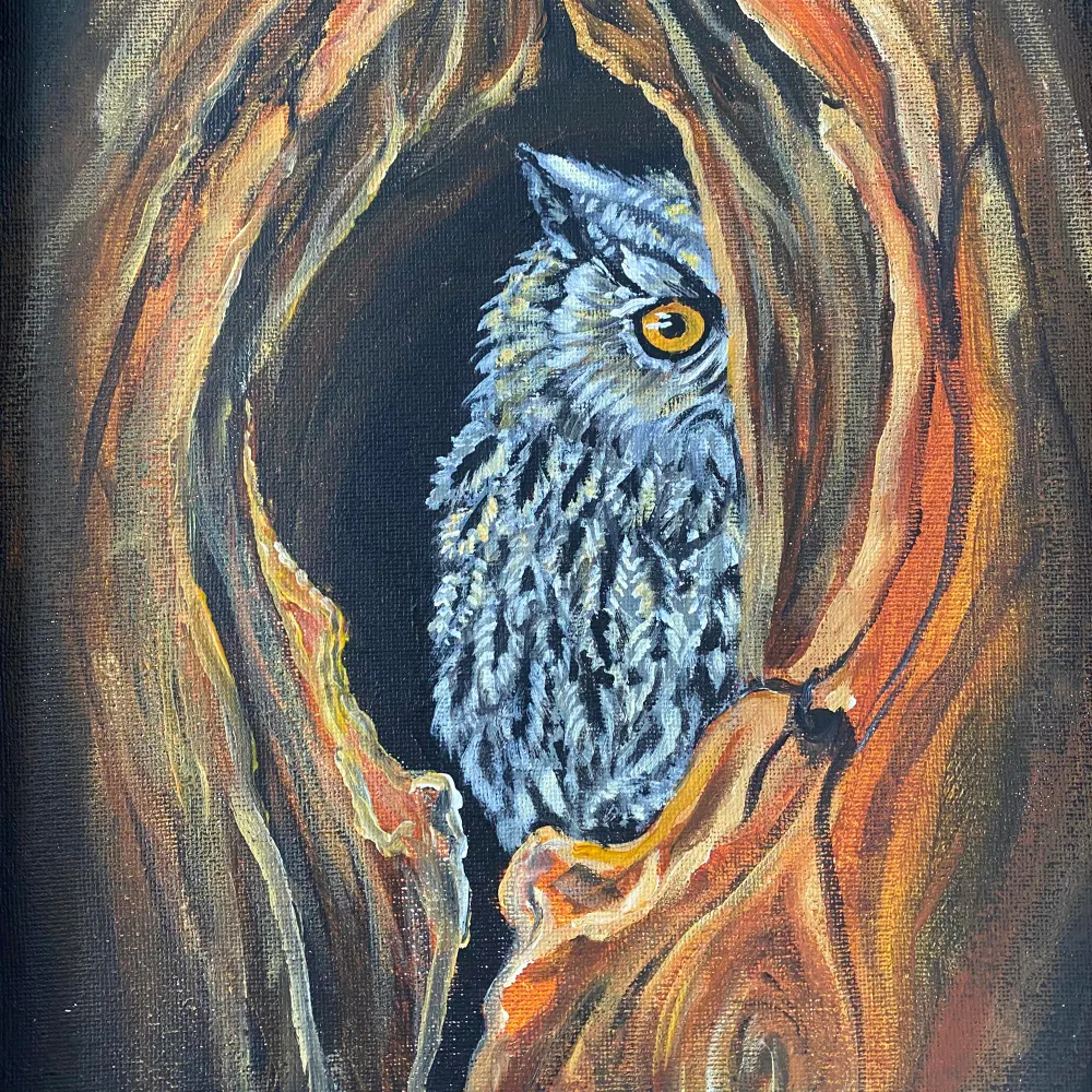 amberglas.bsky.social's profile picture