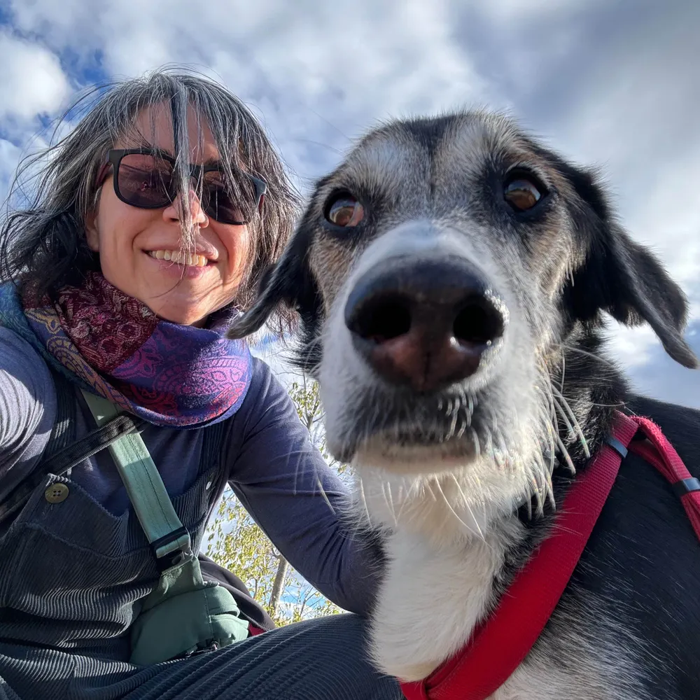 lausanrom.bsky.social's profile picture