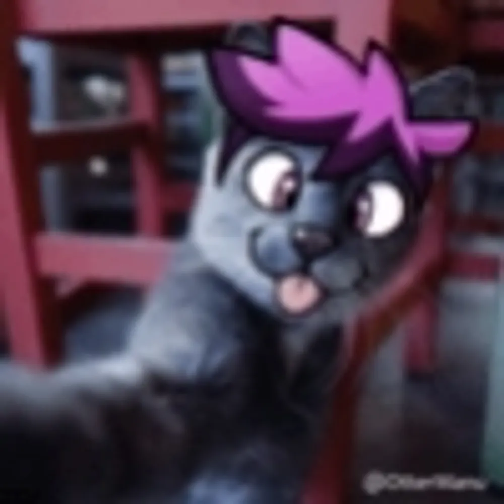 dimlor.bsky.social's profile picture