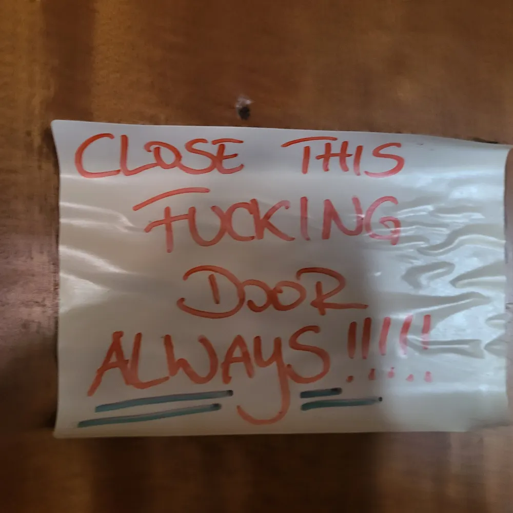 dimeson.bsky.social's profile picture