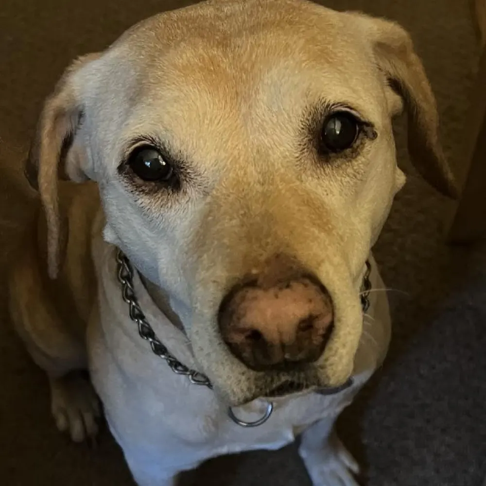 jasonbcarey.bsky.social's profile picture