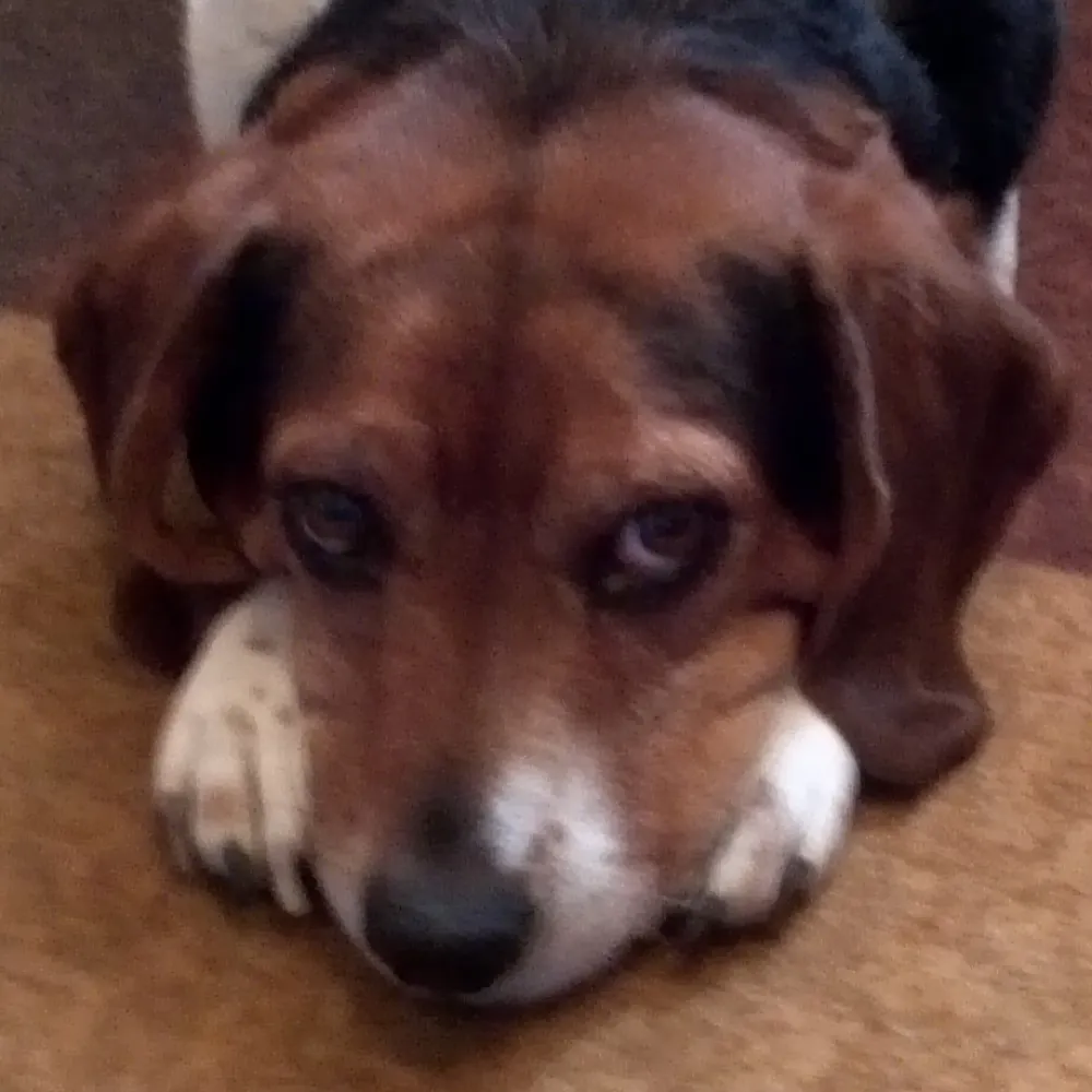 brewsfan1.bsky.social's profile picture