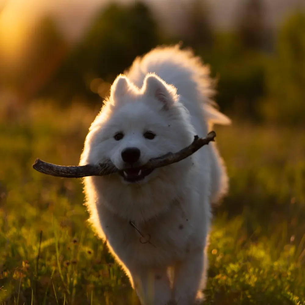 thatgeoguy.ca's profile picture