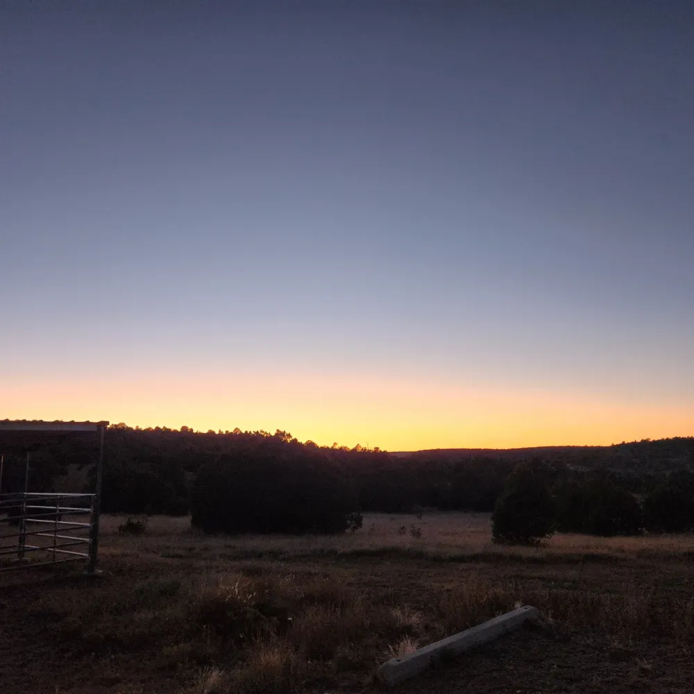 cromwell2nd.bsky.social's profile picture