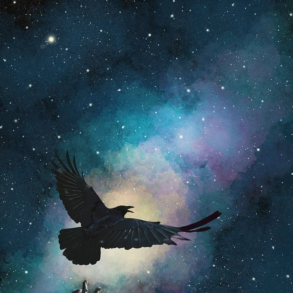 blackbirdflyaway.bsky.social's profile picture