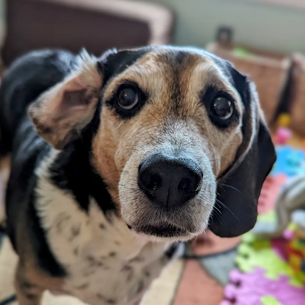 hikingillini.bsky.social's profile picture