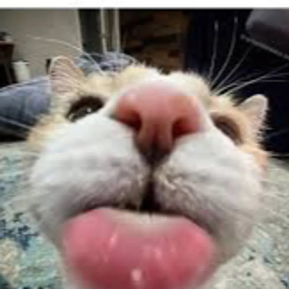 itstheslaystreet.bsky.social's profile picture