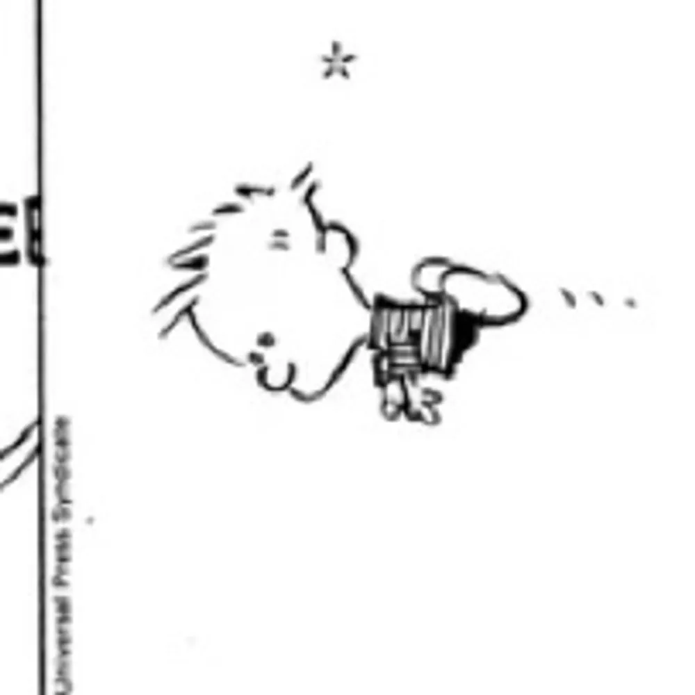 ahugebird.bsky.social's profile picture