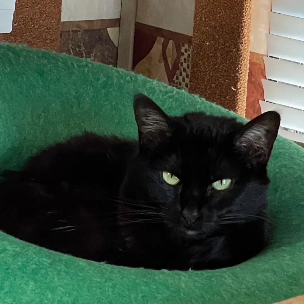 heidibinx.bsky.social's profile picture