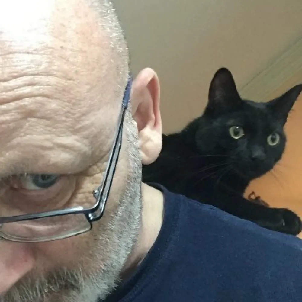 sardonicus.eu's profile picture