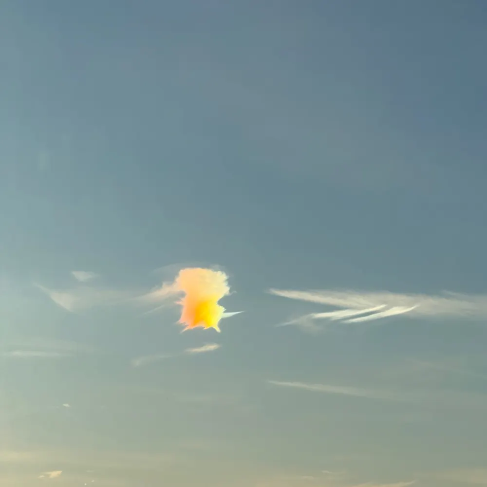 banjo99.bsky.social's profile picture