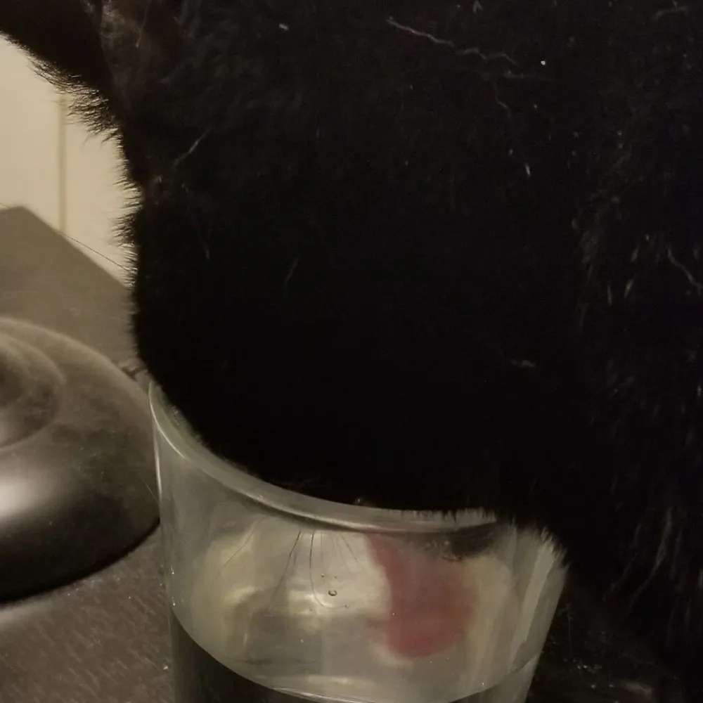 sscsky.bsky.social's profile picture