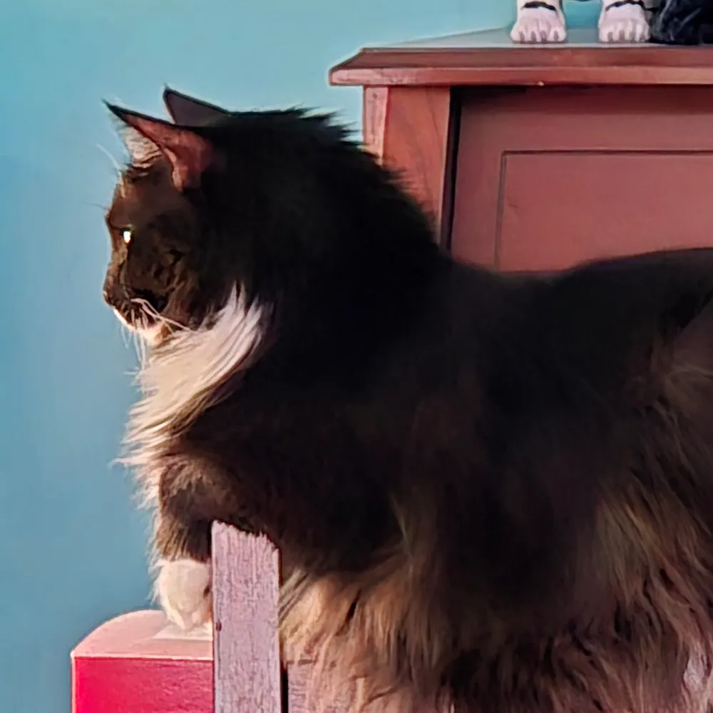 muddywaters25.bsky.social's profile picture