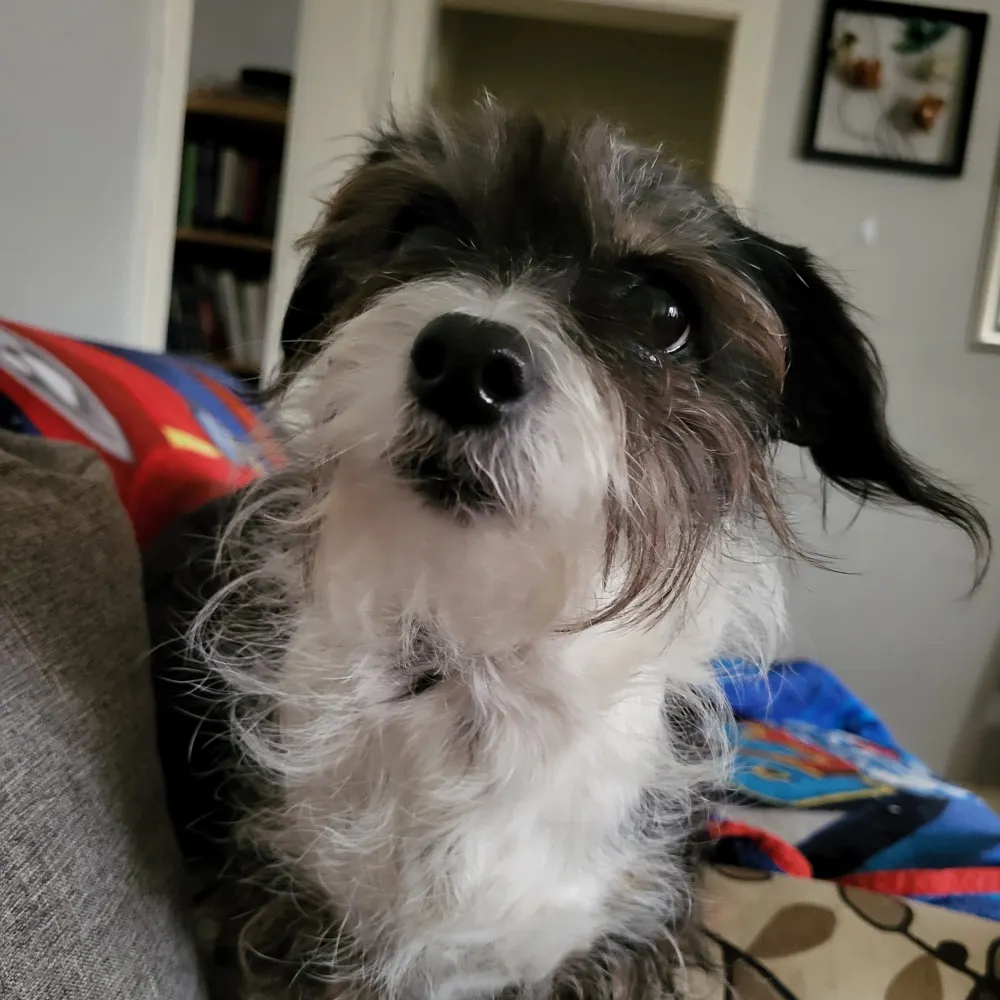 ledezmaann6.bsky.social's profile picture