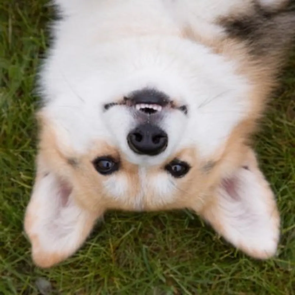 maestraoogway.bsky.social's profile picture