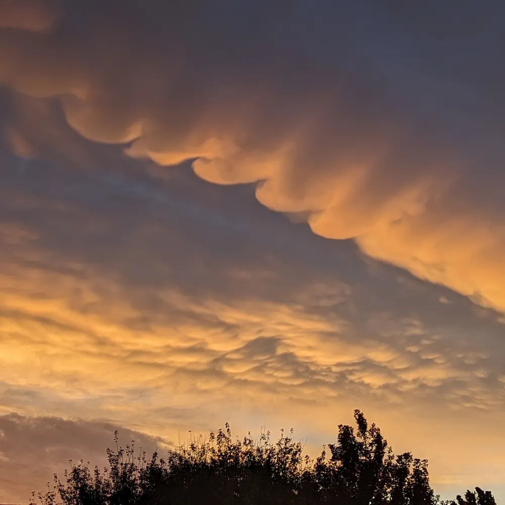 redrelic.bsky.social's profile picture