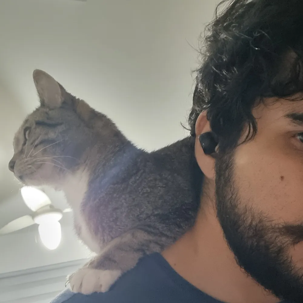 c4sh.bsky.social's profile picture