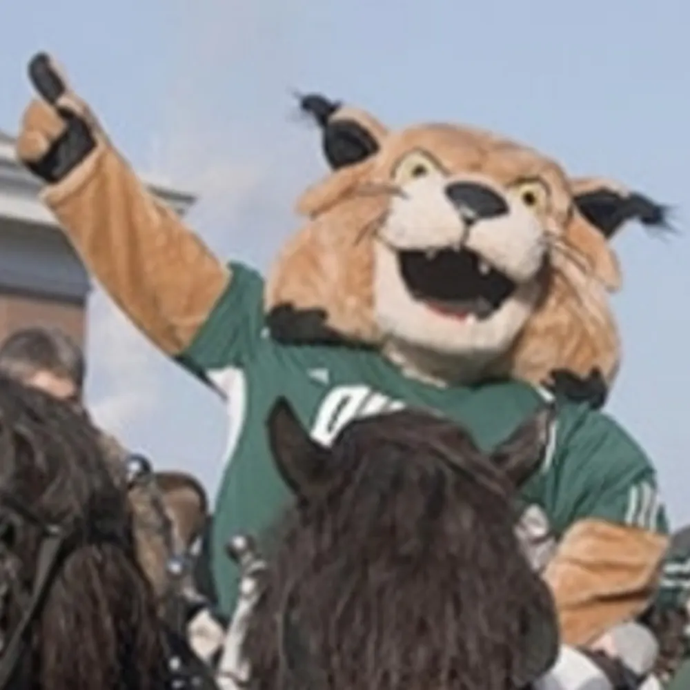 qaxxar.bsky.social's profile picture