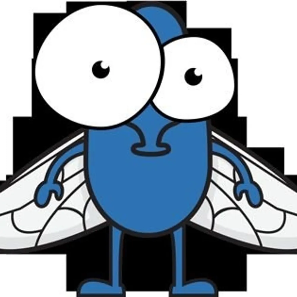 flyonsomewall.bsky.social's profile picture