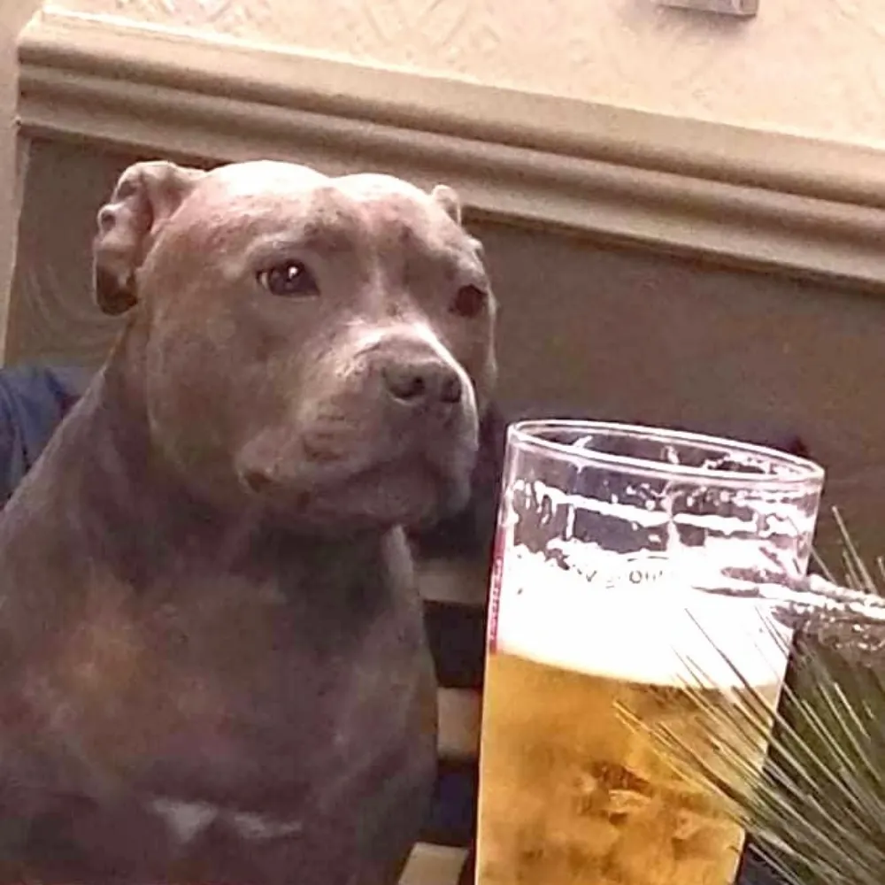 eggslice.bsky.social's profile picture