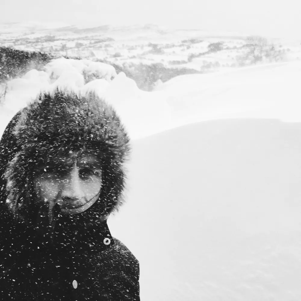 pete-m.bsky.social's profile picture