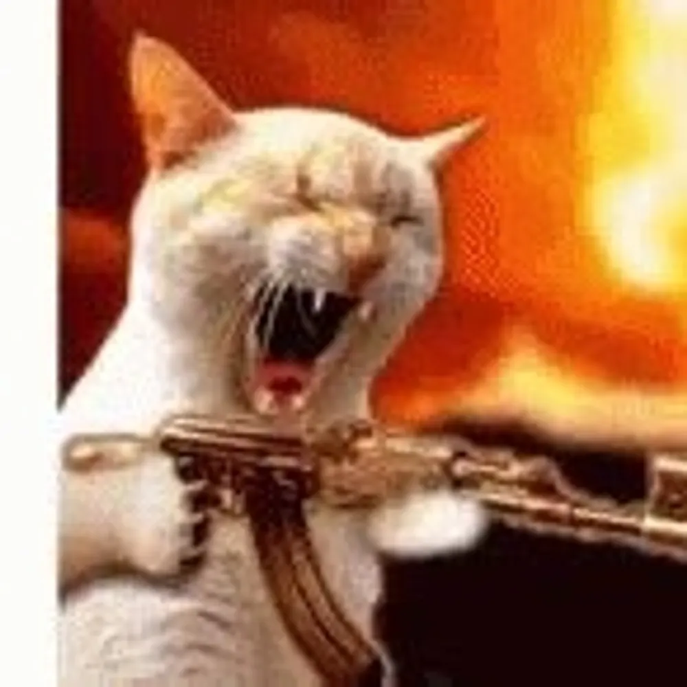 norzola.bsky.social's profile picture