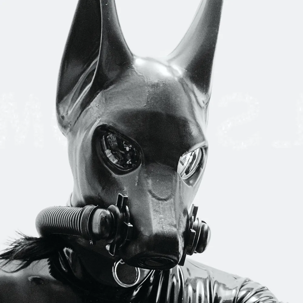 maelstrom.bsky.social's profile picture