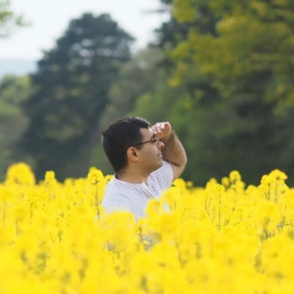 implausibleblog.bsky.social's profile picture