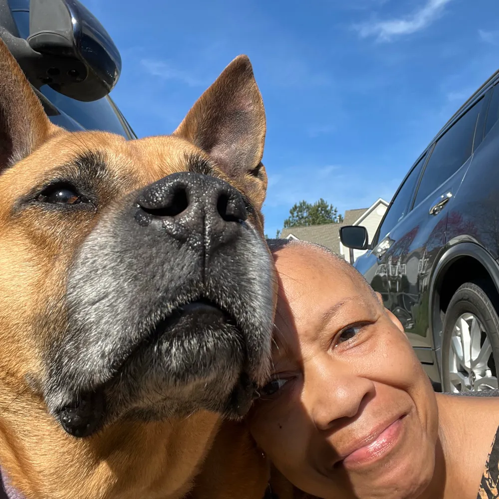 orishaz.bsky.social's profile picture