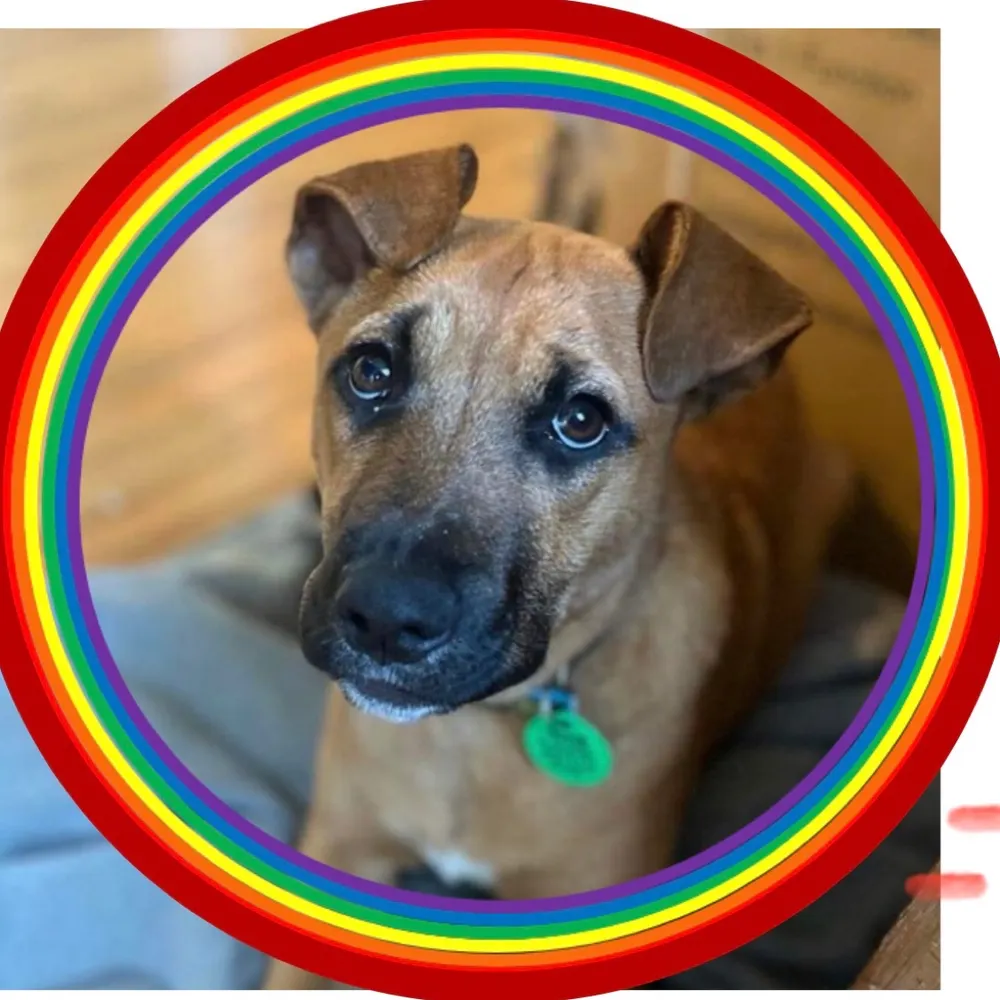 spiderandme.bsky.social's profile picture