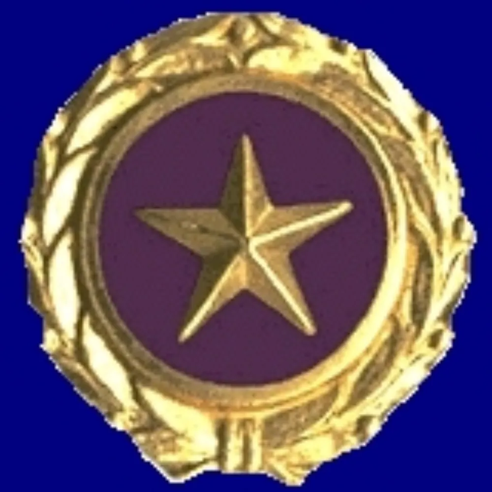 anymouse.bsky.social's profile picture