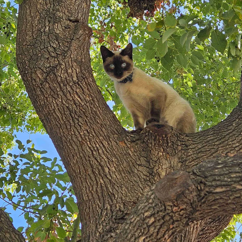 popularfront.bsky.social's profile picture