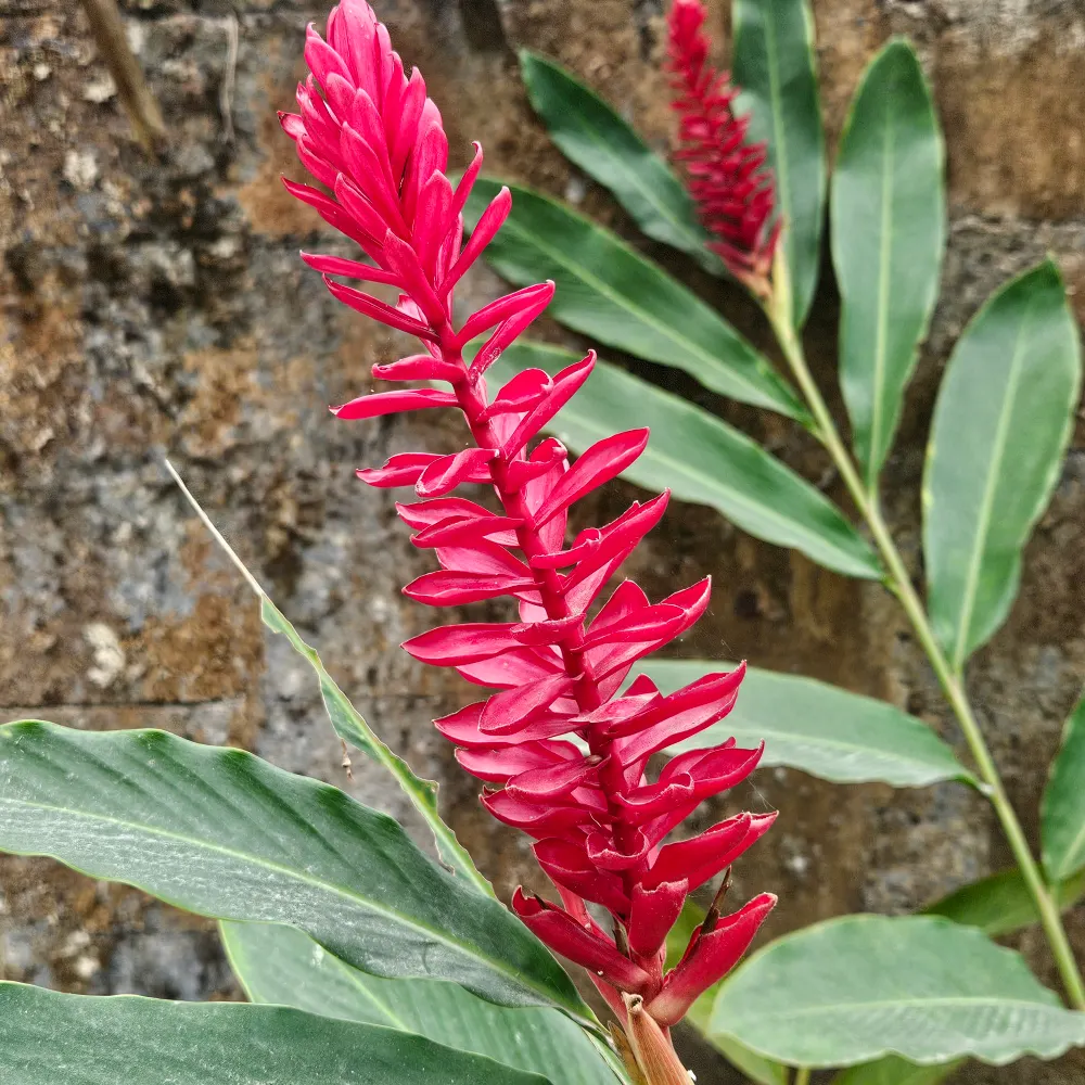 emiliephillips.bsky.social's profile picture