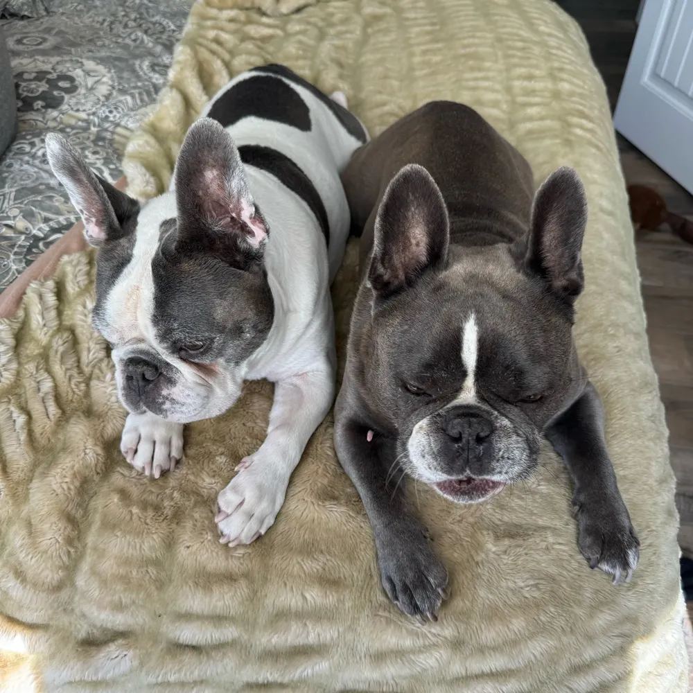 debm55.bsky.social's profile picture