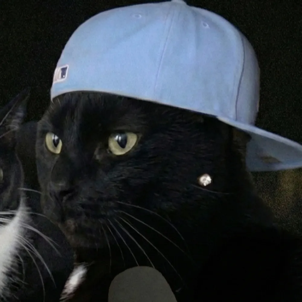 janasbananas.bsky.social's profile picture