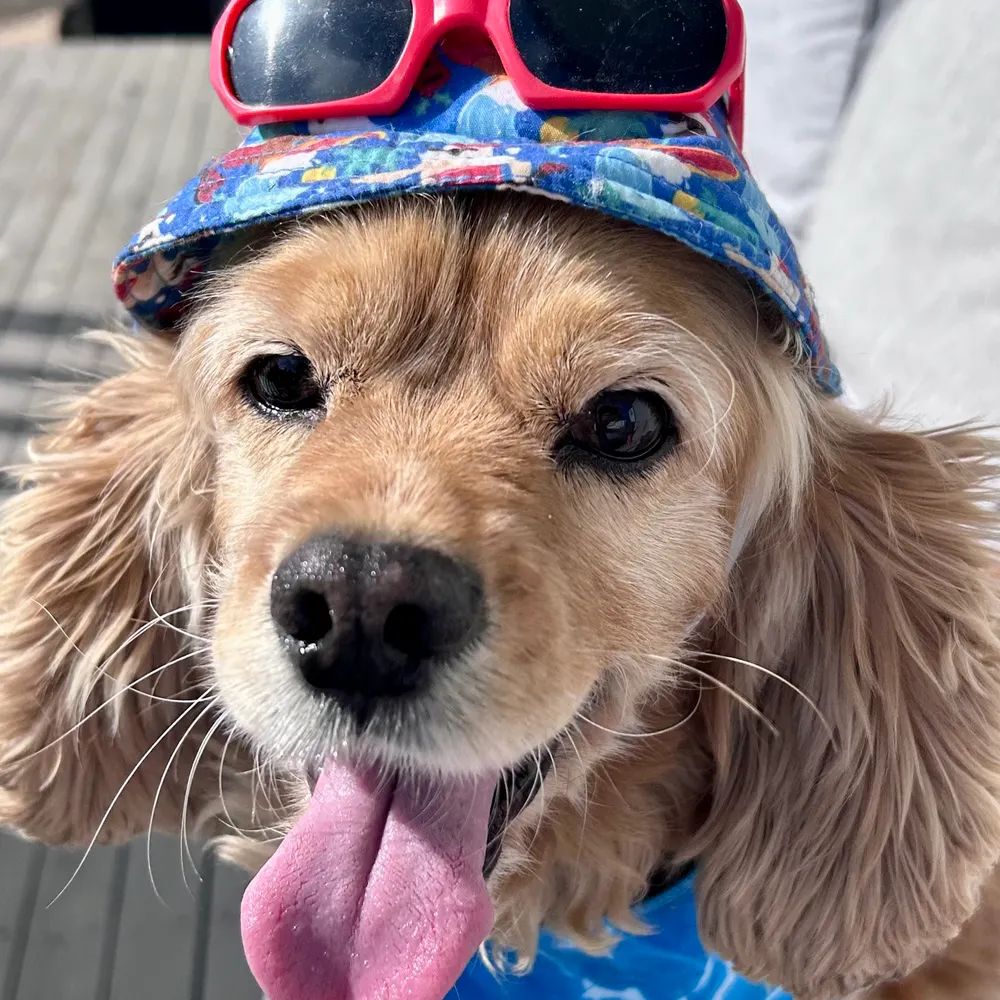 matmills73.bsky.social's profile picture