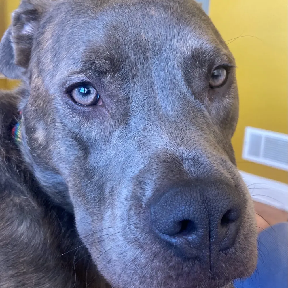 freshnotfrozen.bsky.social's profile picture