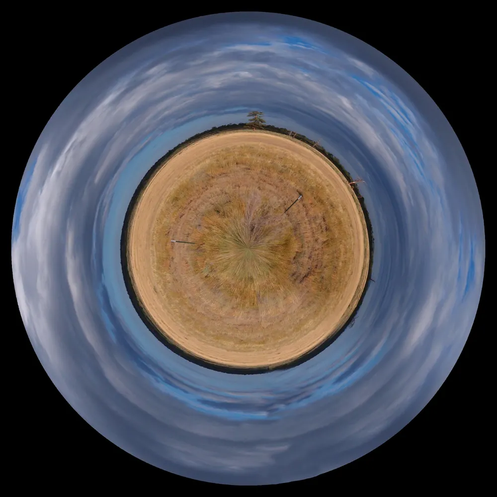 will31415.bsky.social's profile picture