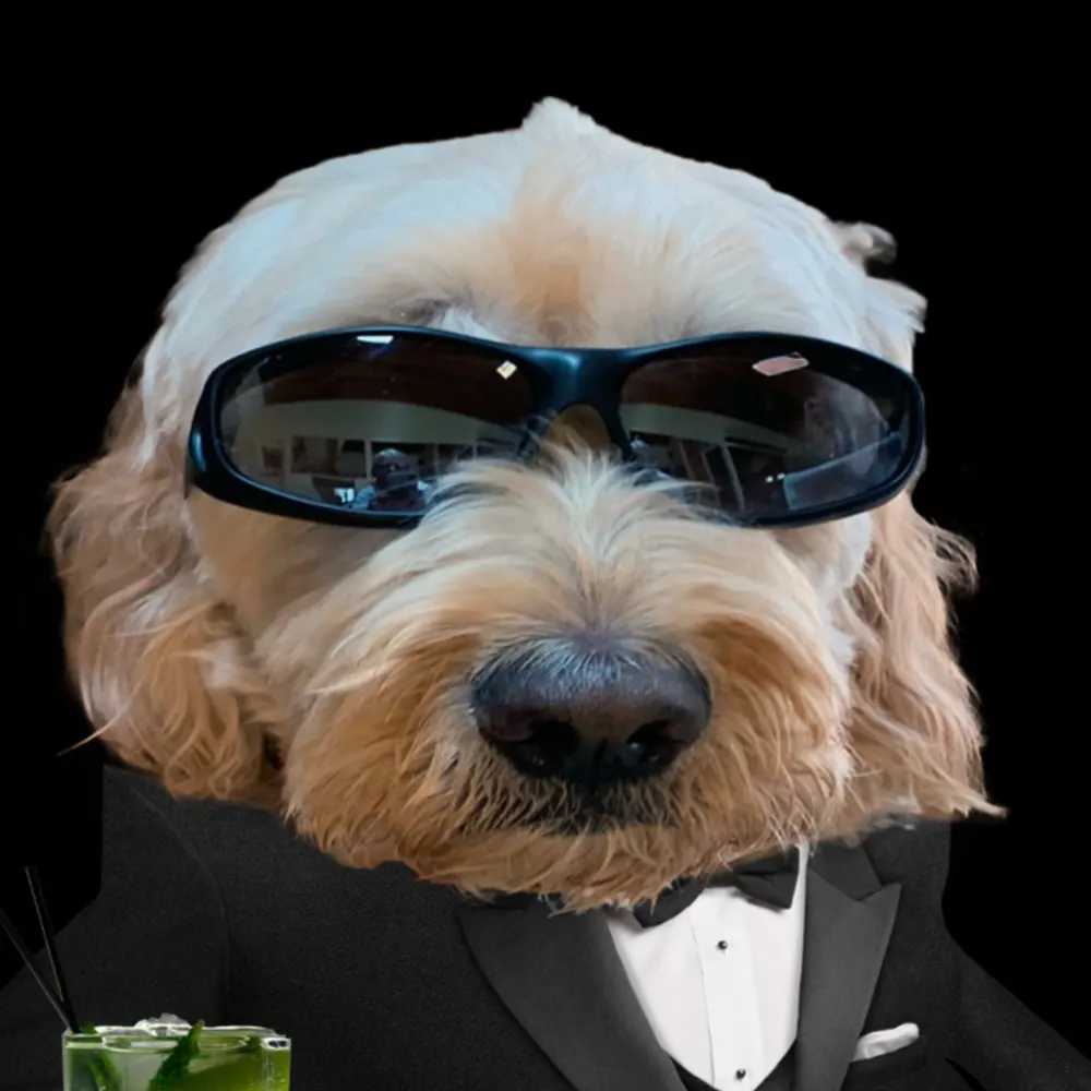 claudiamw.bsky.social's profile picture