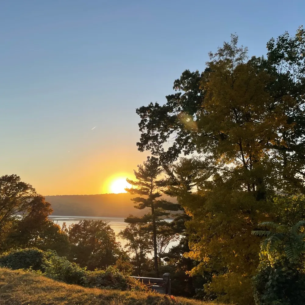 justpeace4all.bsky.social's profile picture