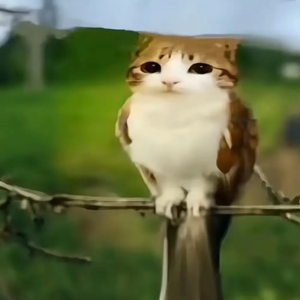 pixelmelt.bsky.social's profile picture