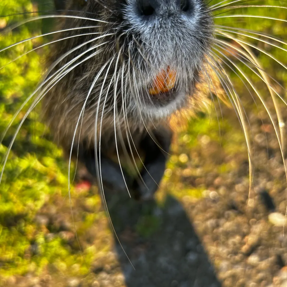 fels75.bsky.social's profile picture