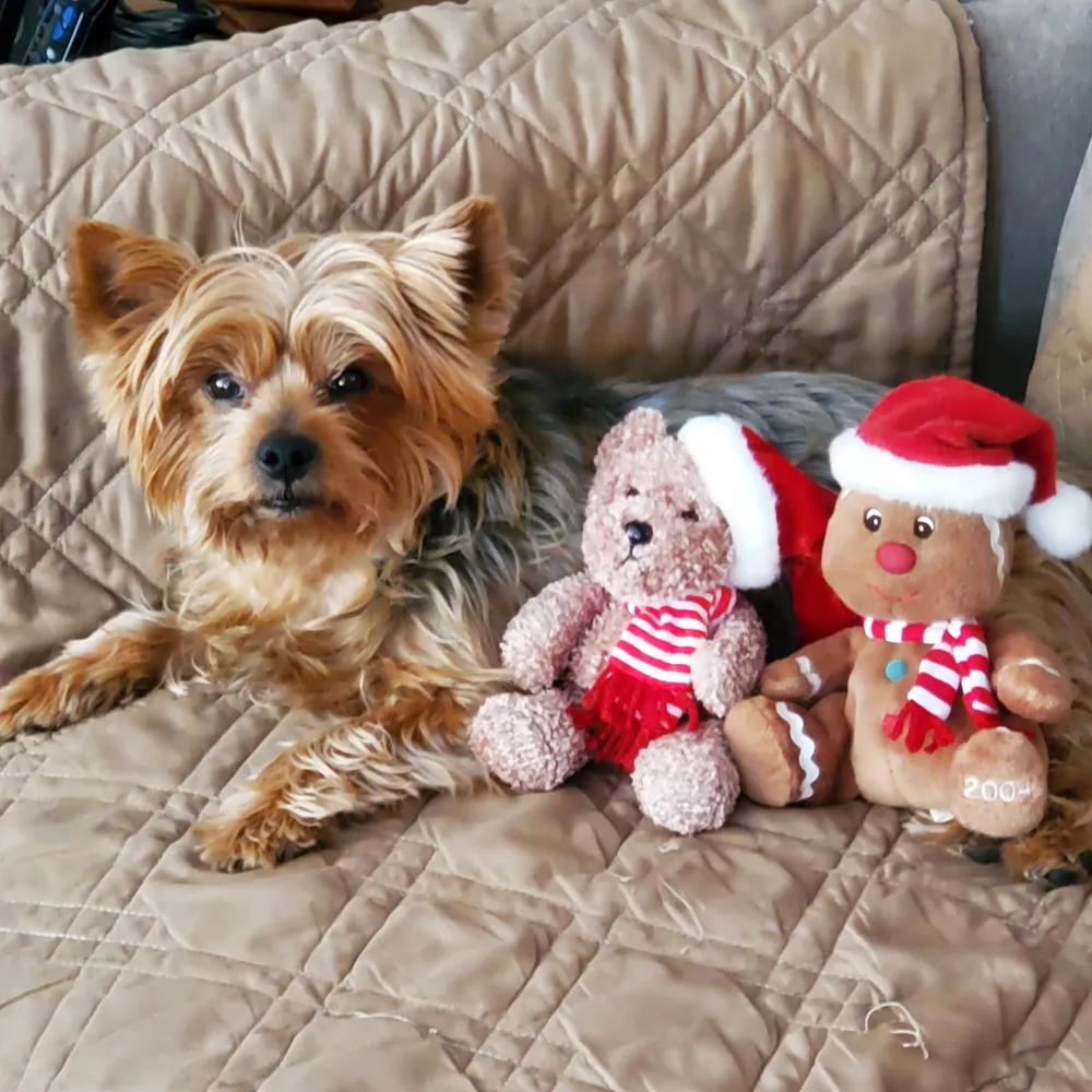 maggieinrdab.bsky.social's profile picture