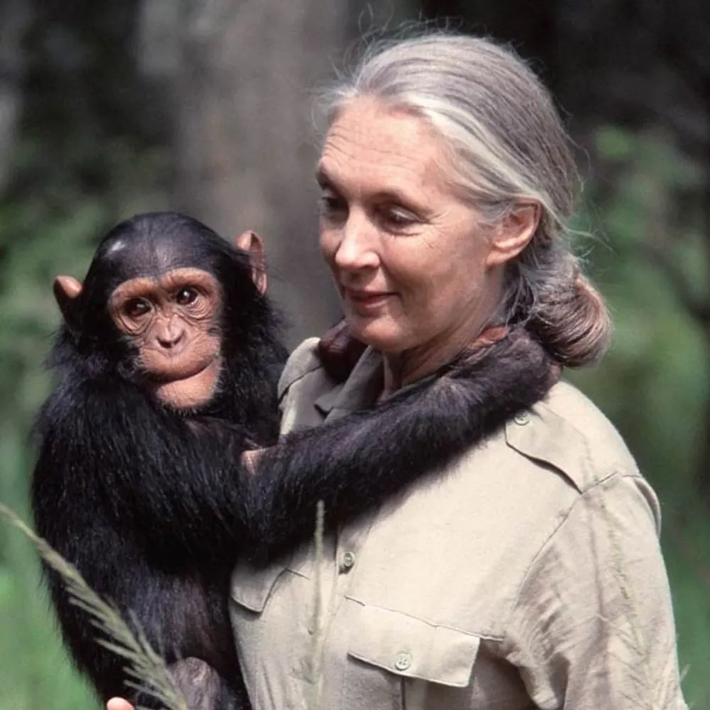 pranya3922.bsky.social's profile picture