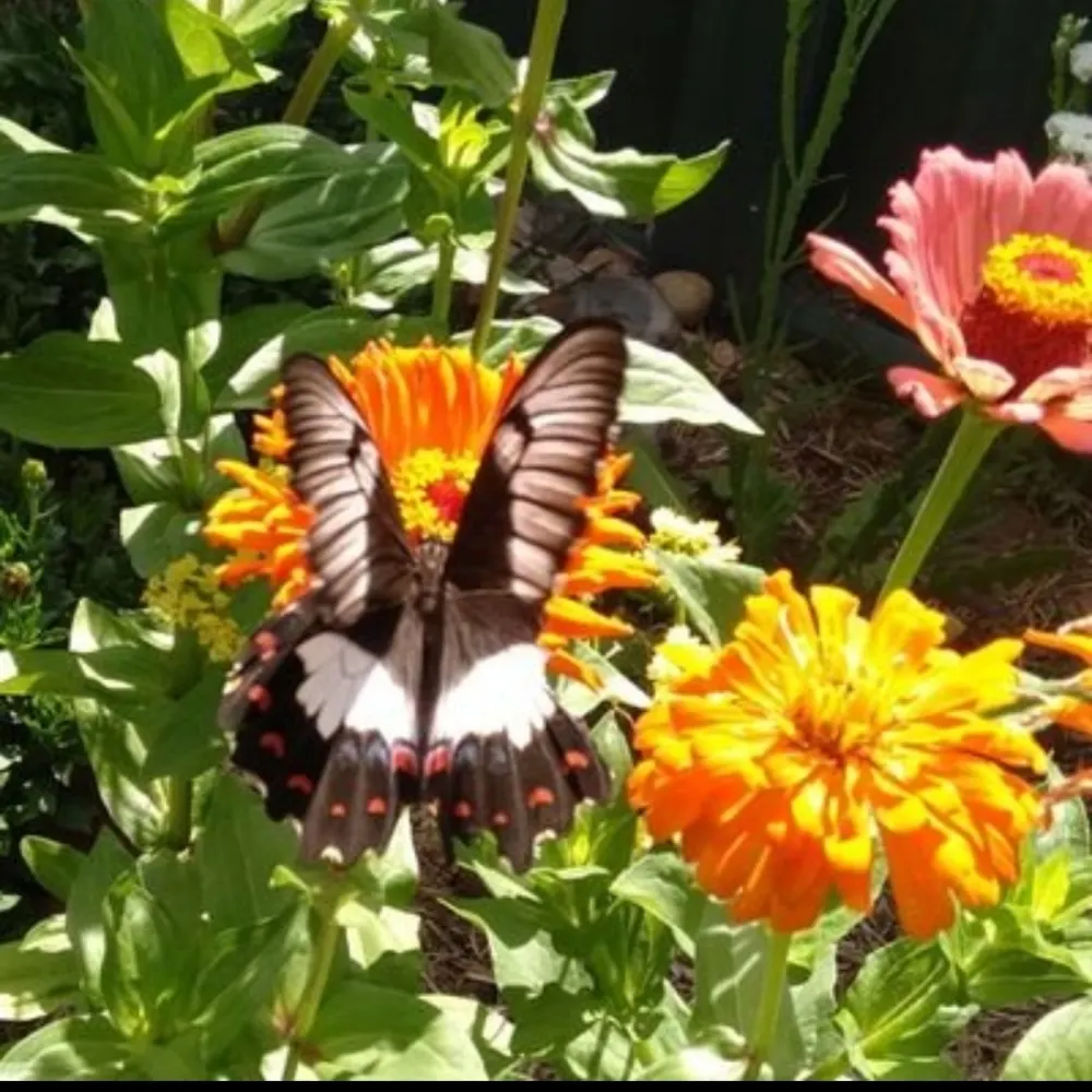 lou256.bsky.social's profile picture