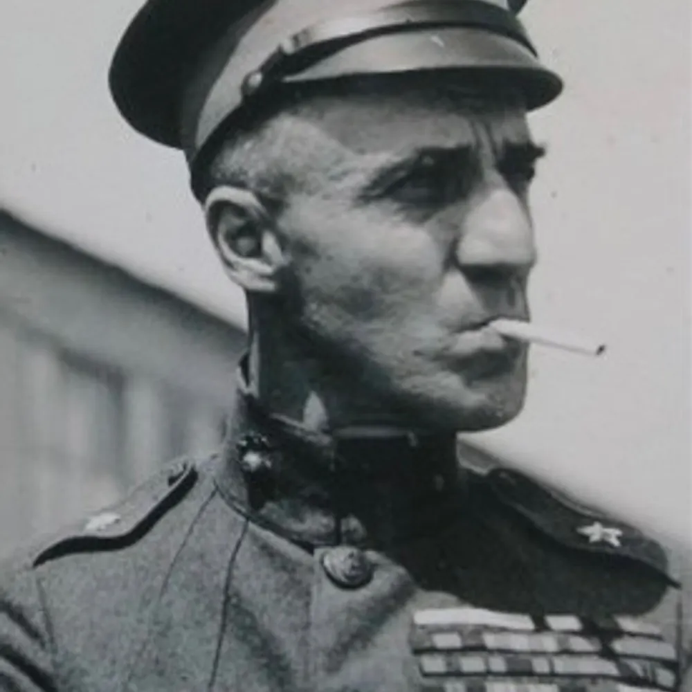 sdbwarnedyou.bsky.social's profile picture