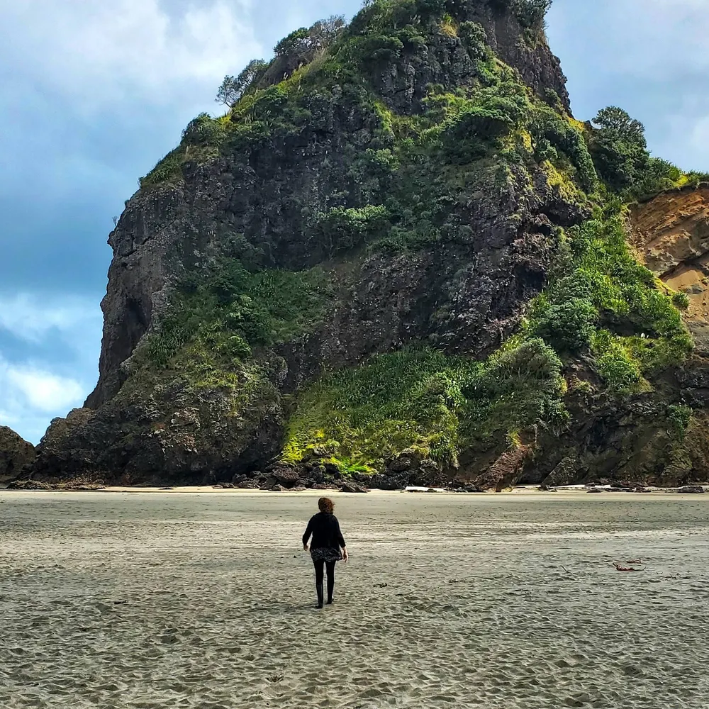 reedeeda.bsky.social's profile picture