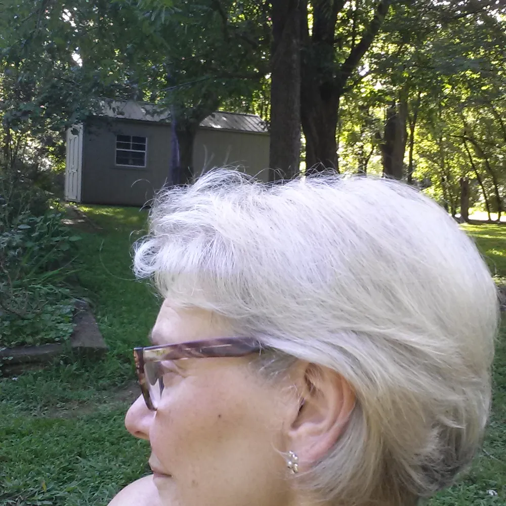 mrsdianek.bsky.social's profile picture