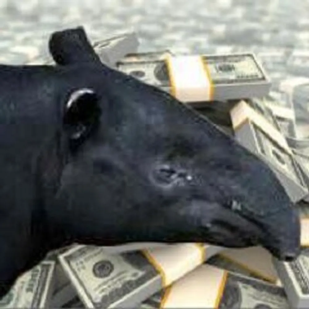 sethrosenthal.bsky.social's profile picture